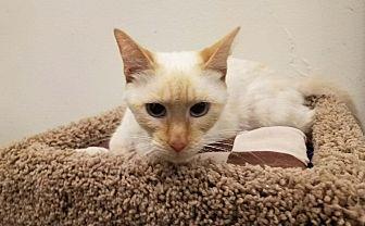 Mitzie (19966408)