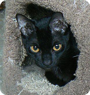 Molly (13826654)