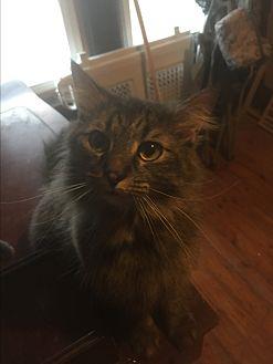 Molly (16802845)