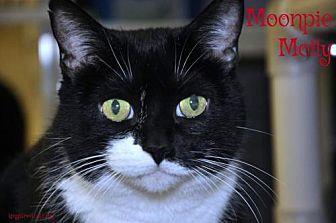 Molly (19950631)