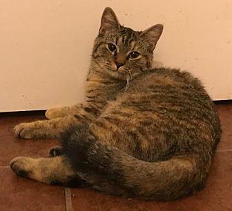 Molly (20313452)