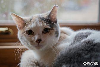 Molly (20334527)