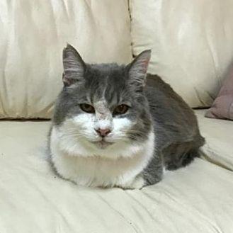 Molly (20523301)