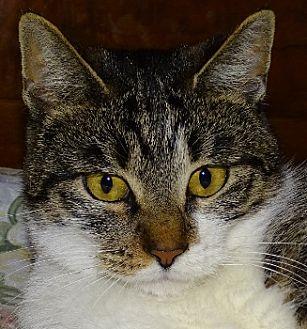 Molly Meow (20195398)