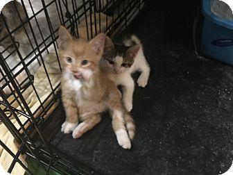 Mommy & Kitt (18596257)