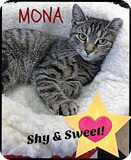 Mona (17200228)
