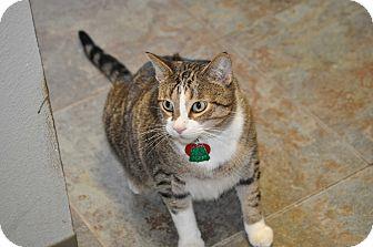 Mooch (16566460)