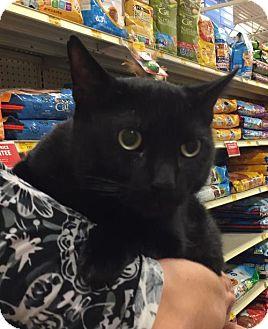 Mookie (15923904)