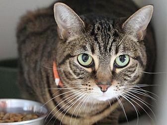 Moxie (20478570)