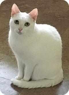 Mozzy (17205680)