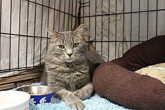 Mr. Buttons (18297547)
