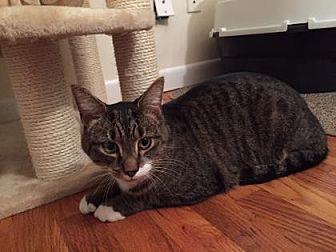 Mr. Maya (14221673)