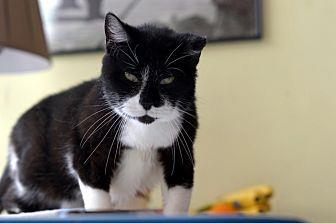 Mrs Snuggles (20011545)