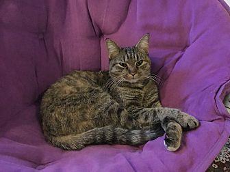 Ms. Dalloway (20468449)