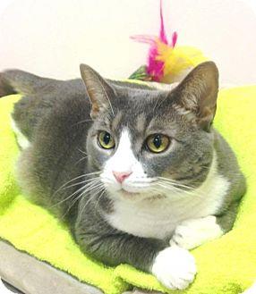 Ms. Tuna (Ma (11832131)
