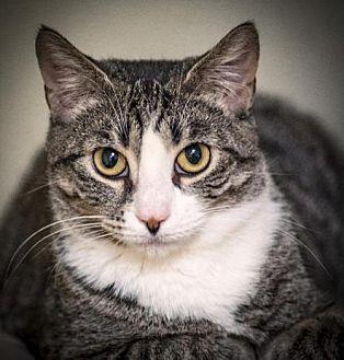 Nala (17438342)