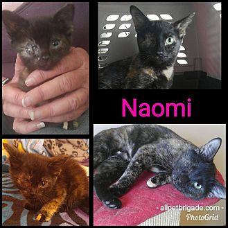 Naomi (20192994)
