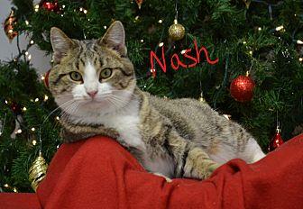 Nash (20183571)