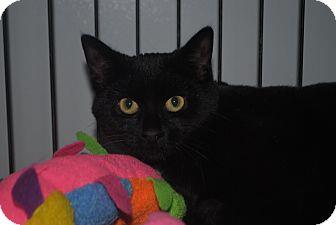 Nellie (15954243)