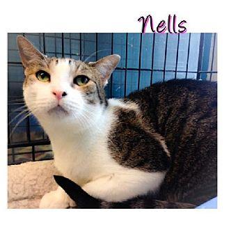 Nells (9243054)