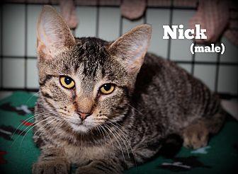 Nicholas (19274414)