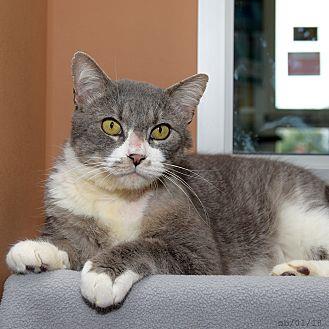 Nicholas (20535606)