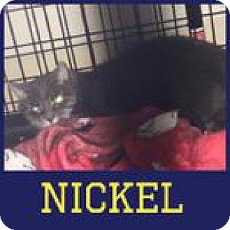 Nickel (17961928)