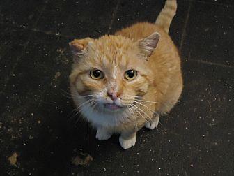 Nigel (19376165)
