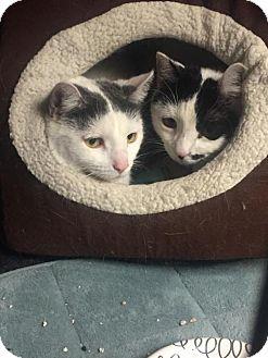 Nina and Bel (15323551)