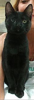 Norbert (20314688)