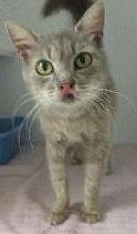 Nyla (16688720)