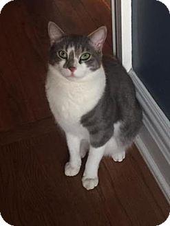 Oliver (15770707)