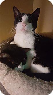 Oliver (17227003)