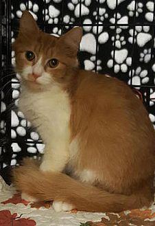 Oliver (20135030)