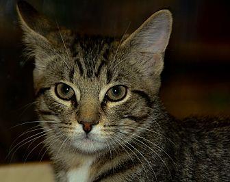 Oliver (20444568)