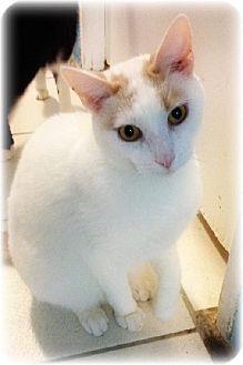 Oliver (9243040)