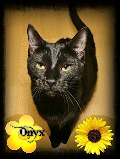 Onyx (18399422)
