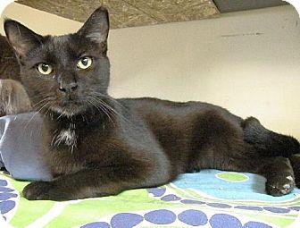 Oscar (9928878)