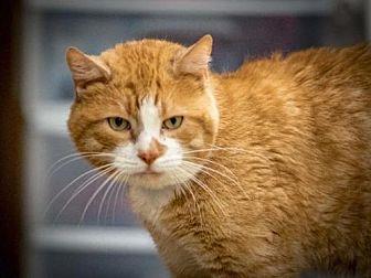 Otis (18967781)