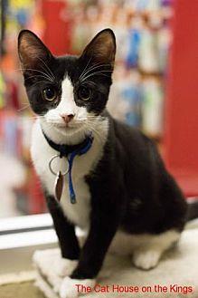 Otis (20424411)