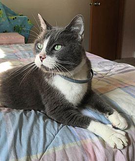 Ozzie (19056320)