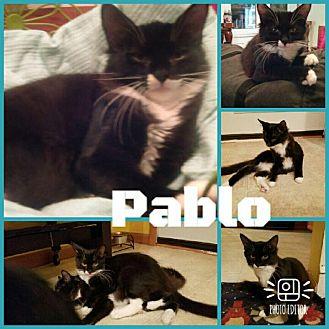 Pablo (19896814)