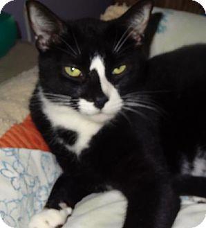 Paddy (8180825)
