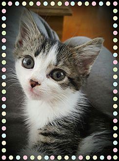Pamie (19568478)