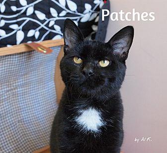 Patches (19173189)