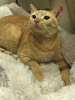 Patsy (15251302)