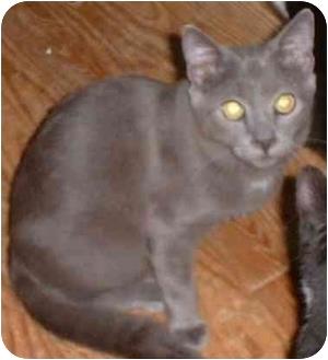 Pawlie (1880973)