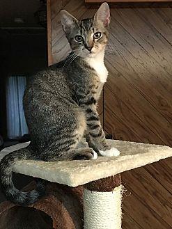 Paws (19344380)