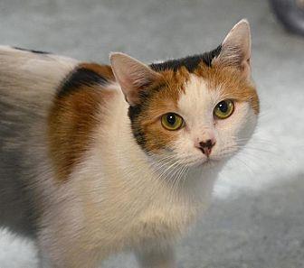 Peaches (19862590)