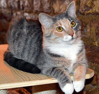 Peaches (20314724)